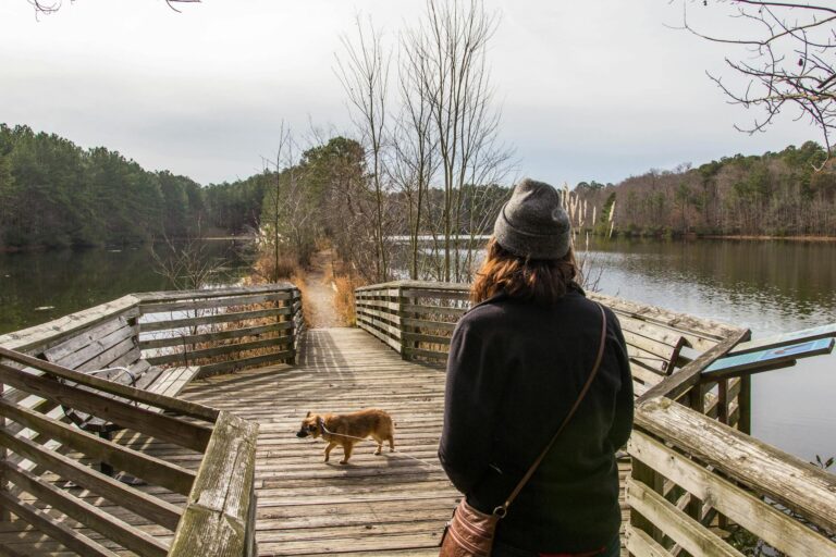 Must-See Nature Trails Near Fort Myers